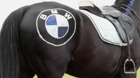 BMW horse